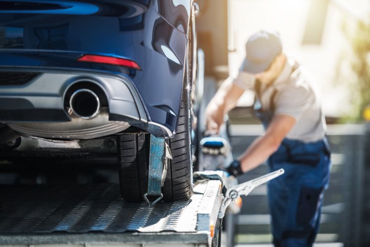 How Does Alaska Car Shipping Work With Sherpa?